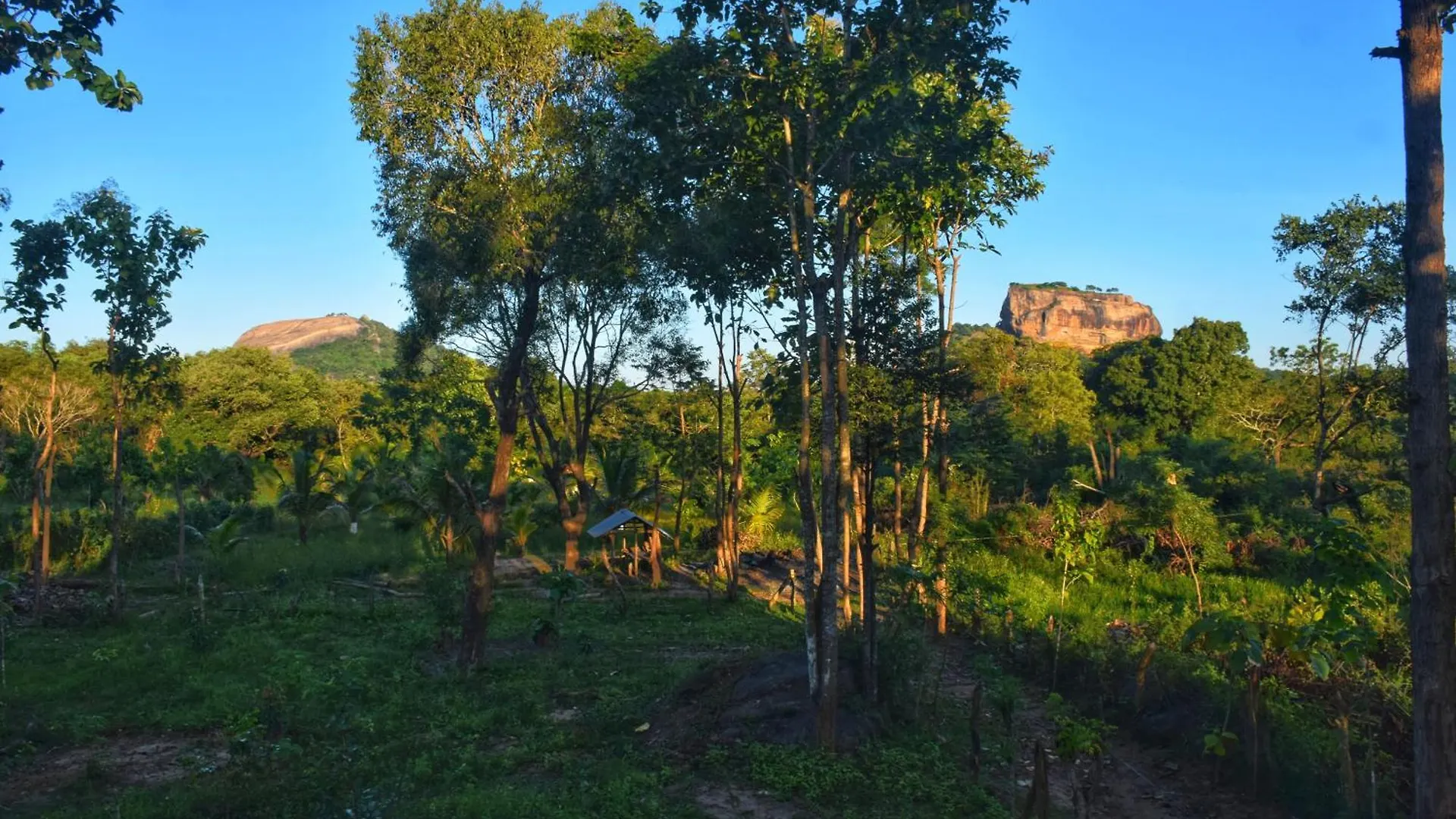 Sigiri Saat Cabana Sigiriya