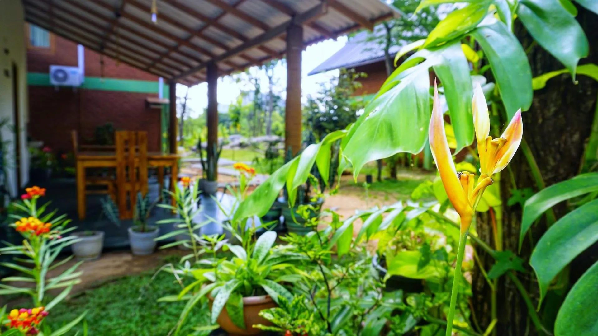 Sigiri Saat Cabana Sigiriya Bed & Breakfast