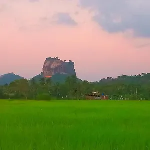 Lodge View, Sigirîya
