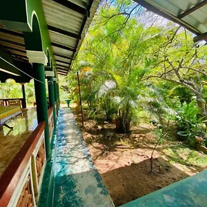 Rock Sigirija